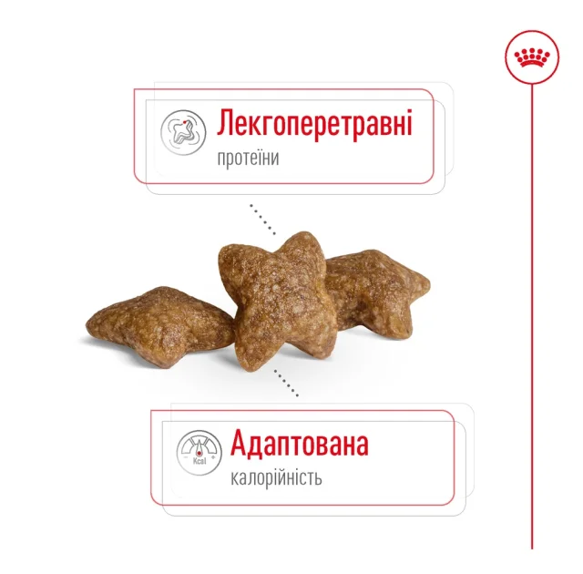 Сухий корм Royal Canin Mini Adult для собак дрібних порід, 8 кг