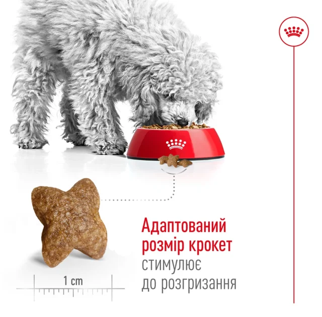 Сухий корм Royal Canin Mini Adult для собак дрібних порід, 8 кг