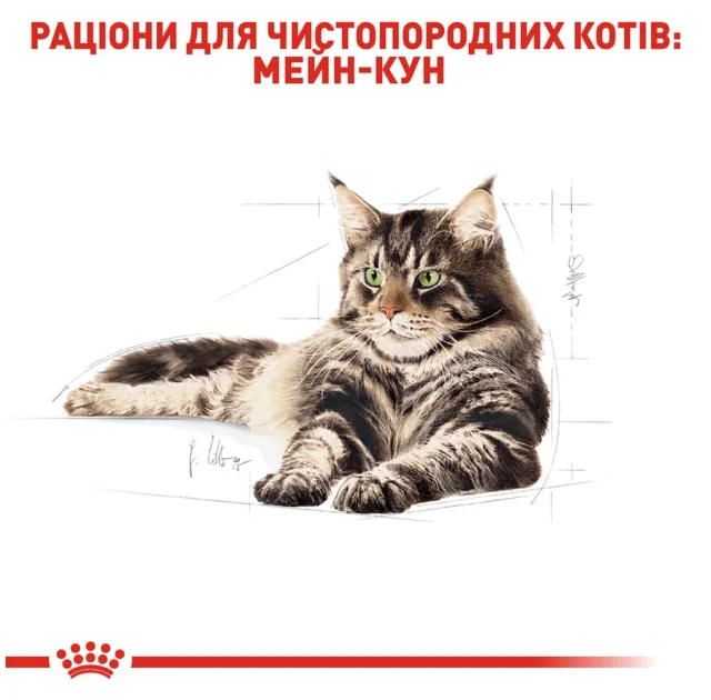 Сухой корм Royal Canin Maine Coon Adult для мейн-кунов, 2 кг