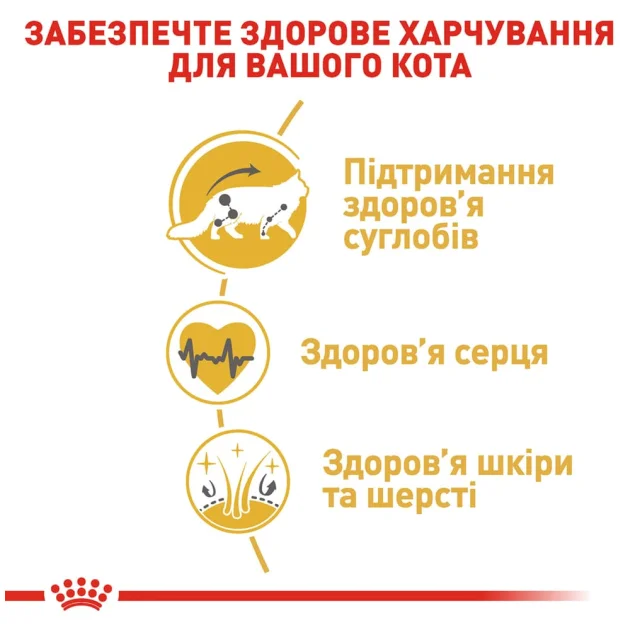 Сухой корм Royal Canin Maine Coon Adult для мейн-кунов, 2 кг
