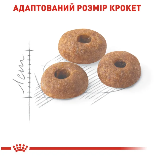 Сухий корм Royal Canin Fit 32 для кішок, 10 кг