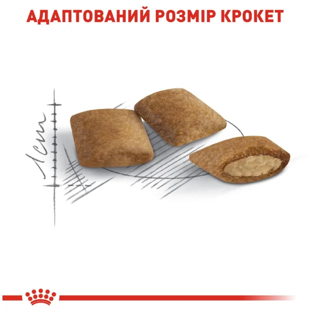 Сухой корм Royal Canin Ageing 12+ для кошек от 12 лет, 2 кг