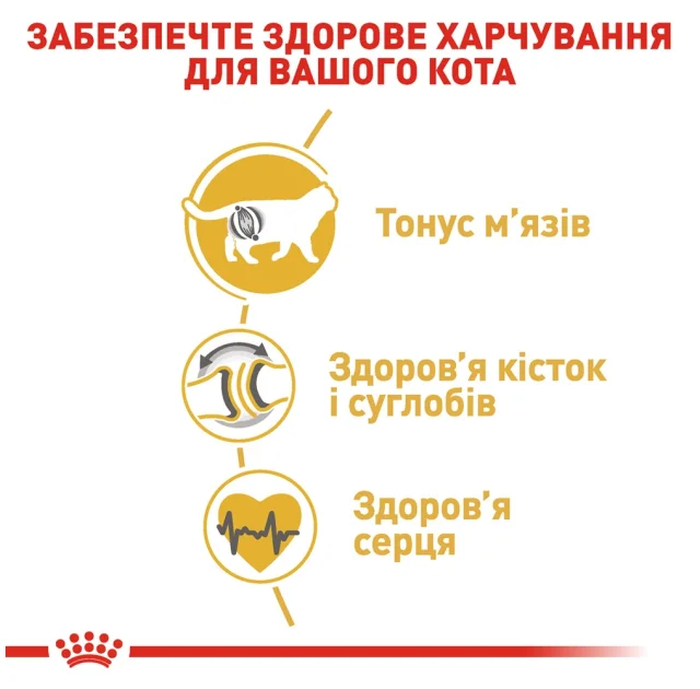 Сухой корм Royal Canin British Shorthair Adult для британских короткошерстных кошек, 10 кг