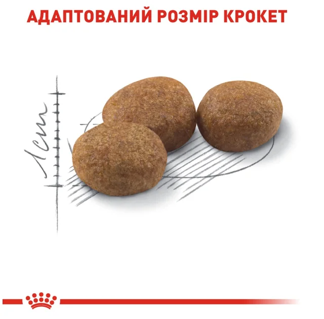 Сухий корм Royal Canin Sterilised 37 для стерилізованих кішок, 4 кг
