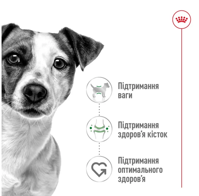 Сухий корм Royal Canin Mini Adult для собак дрібних порід, 800 г