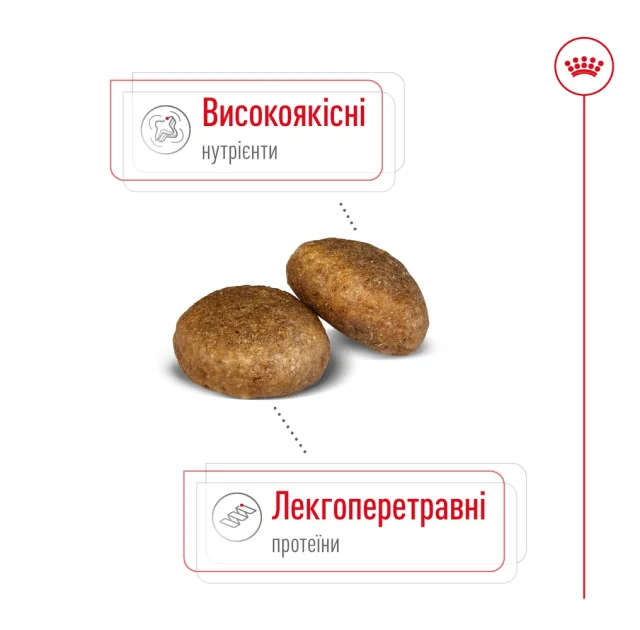 Сухой корм Royal Canin Maxi Adult для собак крупных пород, 15 кг