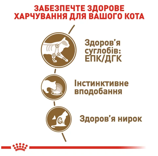 Влажный корм Royal Canin Ageing 12+ для кошек старше 12 лет, кусочки в соусе, 85 г