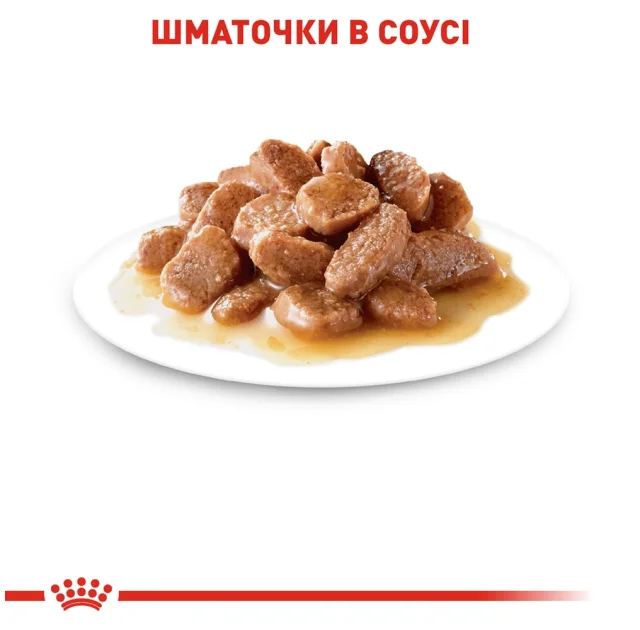 Влажный корм Royal Canin Ageing 12+ для кошек старше 12 лет, кусочки в соусе, 85 г
