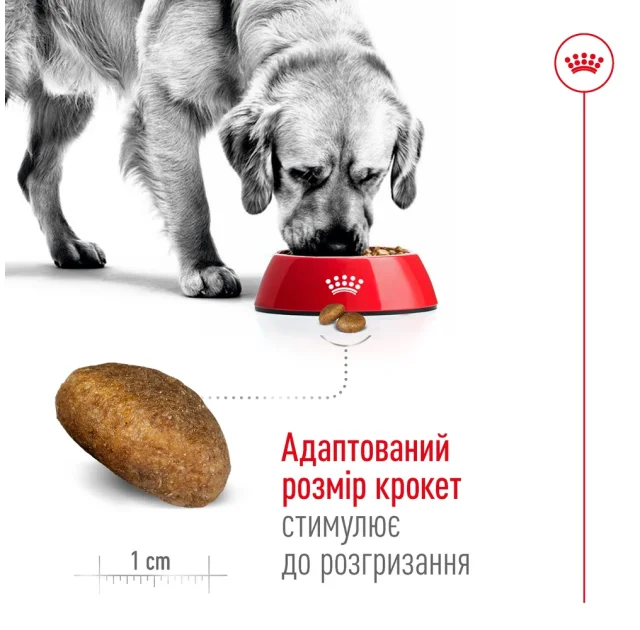 Сухой корм Royal Canin Maxi Adult 5+ для собак крупных пород старше 5 лет, 15 кг