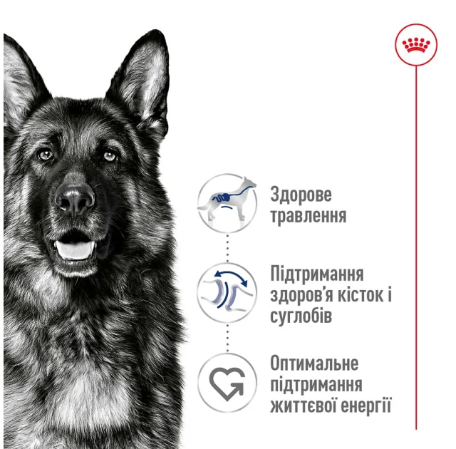 Сухой корм Royal Canin Maxi Adult 5+ для собак крупных пород старше 5 лет, 15 кг
