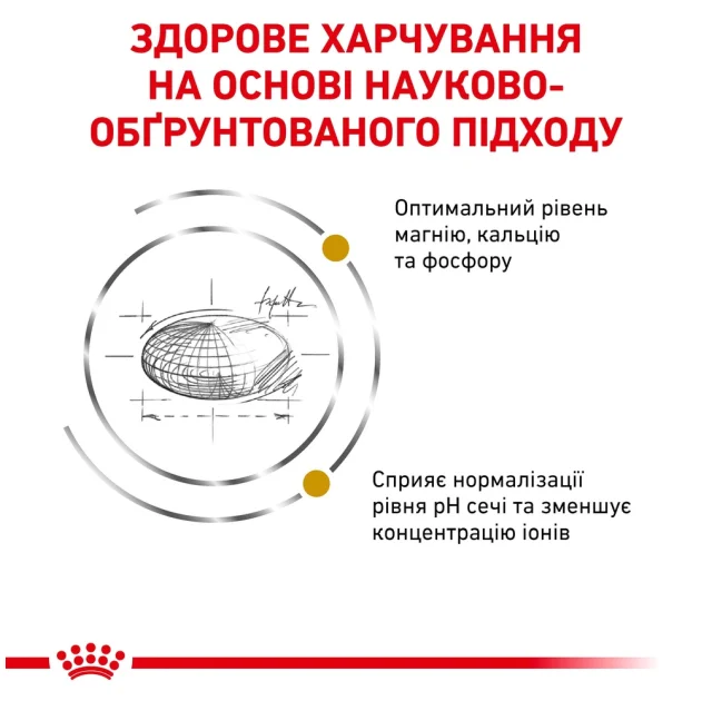 Сухий корм Royal Canin Urinary S / O при сечокам'яній хворобі у кішок, 400 г
