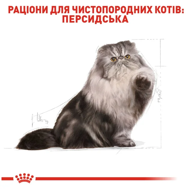 Сухой корм Royal Canin Persian Adult для персидских кошек от 12 месяцев, 2 кг