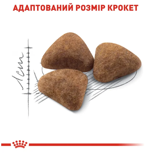 Сухий корм Royal Canin Indoor 27 для кішок постійно живуть у приміщенні, 10 кг