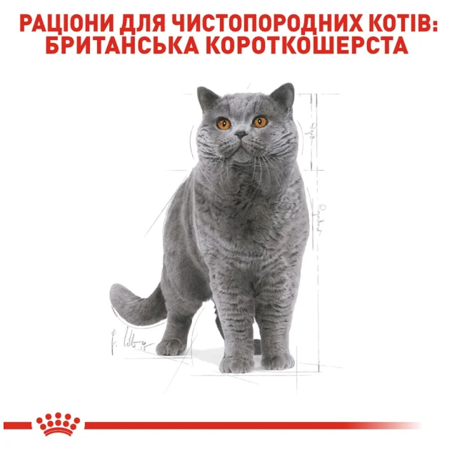 Сухой корм Royal Canin British Shorthair Adult для британских короткошерстных кошек, 4 кг