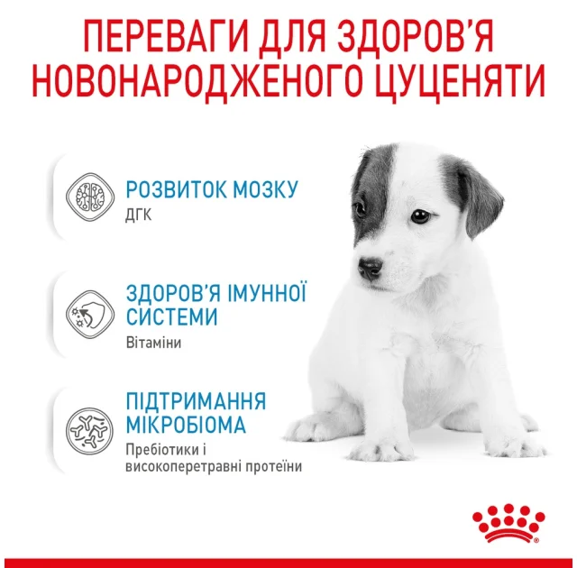 Замінник молока Royal Canin Babydog Milk для цуценят, 2 кг