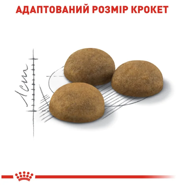 Сухой корм Royal Canin Indoor Long Hair для длинношерстных кошек постоянно живущих в помещении, 2 кг