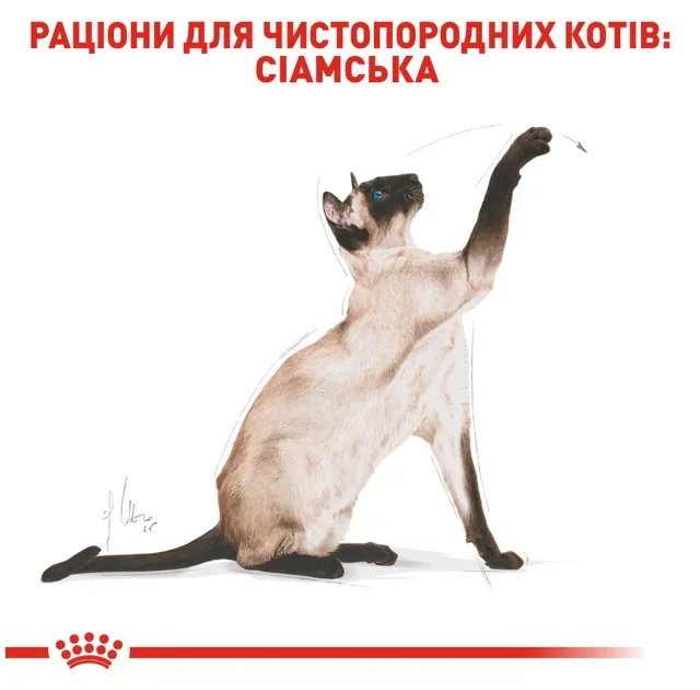 Сухой корм Royal Canin Siamese Adult для сиамской кошки, 400 г