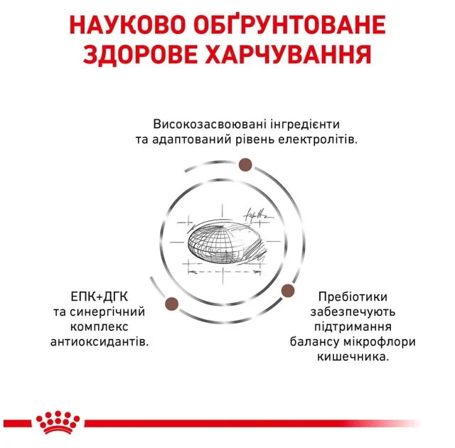 Сухой корм Royal Canin Gastro Intestinal при нарушениях пищеварения у собак, 2 кг