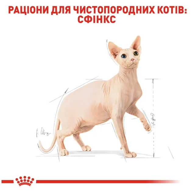 Сухой корм Royal Canin Sphynx Adult для сфинкса, 10 кг