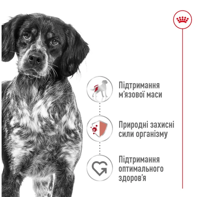 Сухой корм Royal Canin Medium Adult для взрослых собак средних пород, 3.2 кг + 800 г