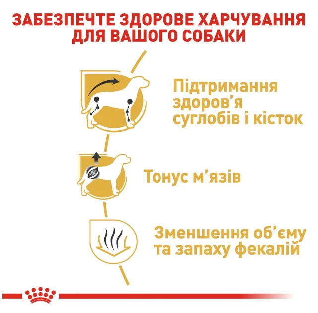 Сухой корм Royal Canin Dachshund Adult для таксы, 1.5 кг