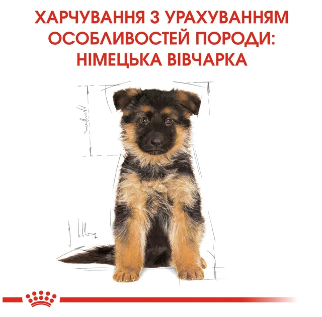 Сухой корм Royal Canin German Shepherd Puppy для щенков немецкой овчарки до 15 месяцев, 12 кг