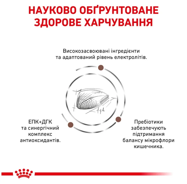 Сухой корм Royal Canin Gastro Intestinal при нарушениях пищеварения у кошек, 400 г