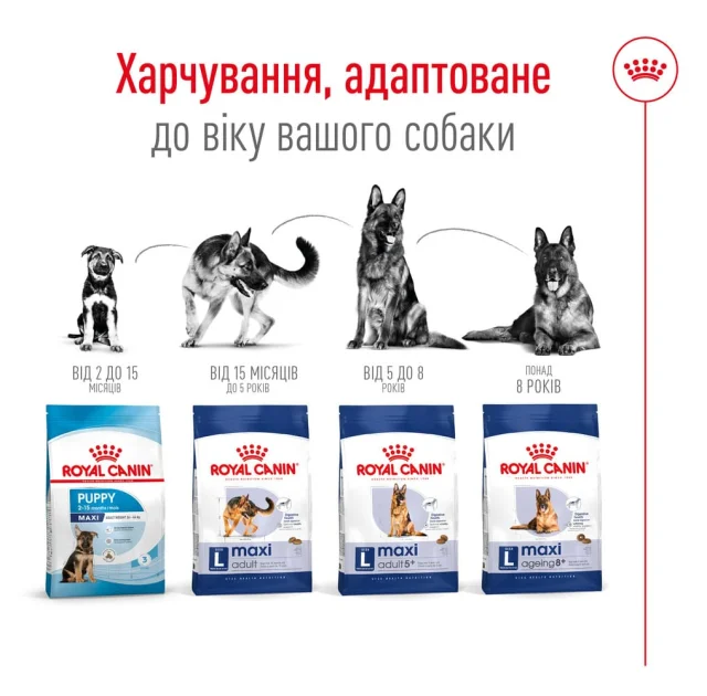 Сухой корм Royal Canin Maxi Ageing 8+ для собак крупных пород старше 8 лет, 15 кг