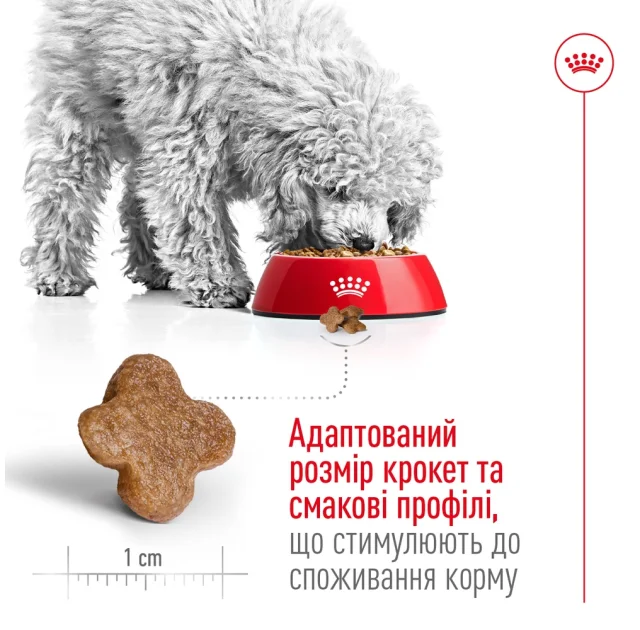 Сухой корм Royal Canin Mini Adult 8+ для собак мелких пород старше 8 лет, 800 г