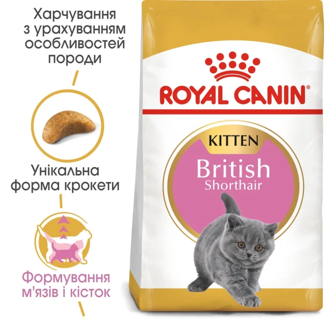 Сухой корм Royal Canin British Shorthair Kitten для британских котят, 2 кг