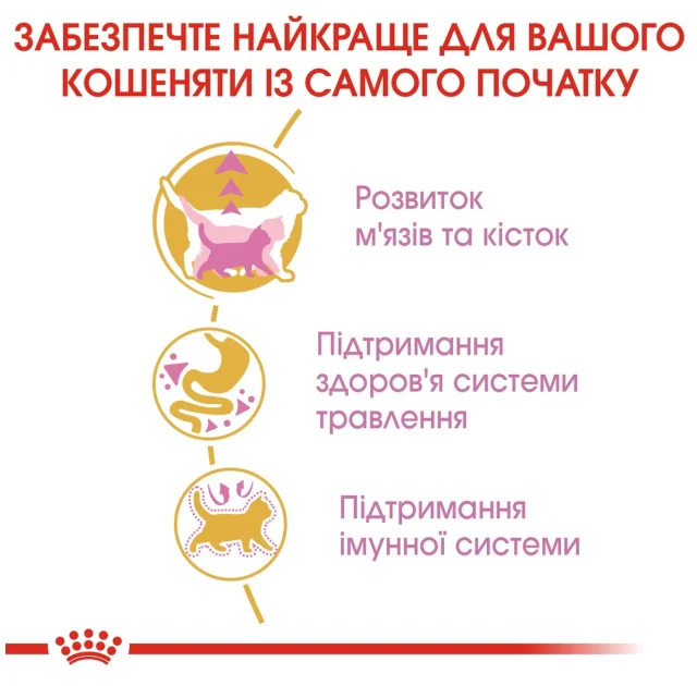 Сухой корм Royal Canin British Shorthair Kitten для британских котят, 10 кг