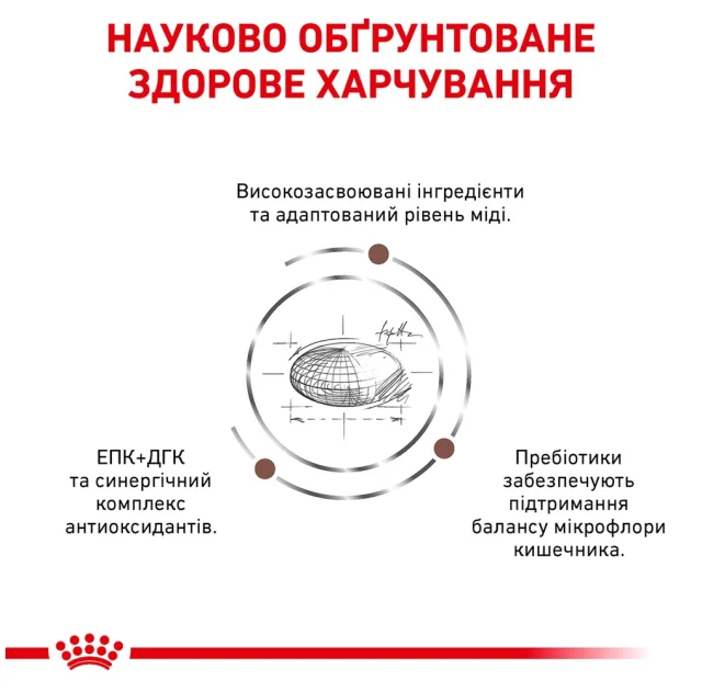 Сухой корм Royal Canin Hepatic при заболевании печени у кошек, 2 кг