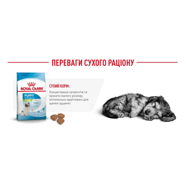 Сухой корм Royal Canin X-Small Puppy для щенков миниатюрных пород до 10 месяцев, 3 кг