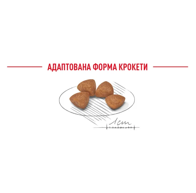 Сухой корм Royal Canin X-Small Puppy для щенков миниатюрных пород до 10 месяцев, 3 кг
