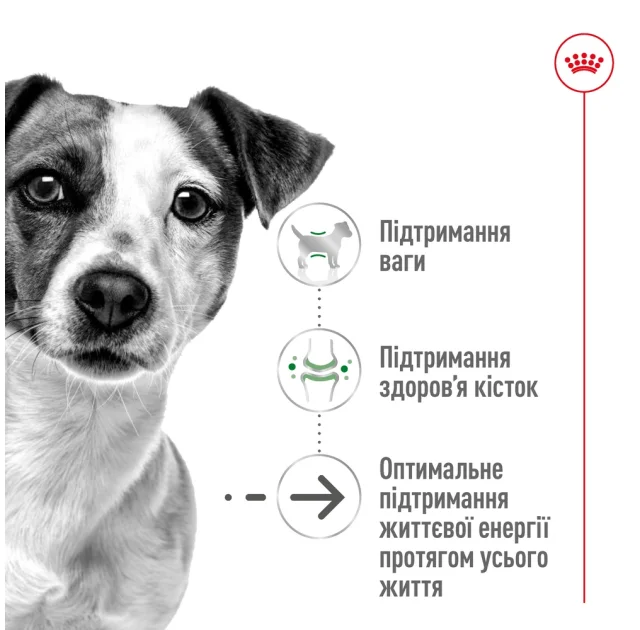 Сухой корм Royal Canin Mini Ageing 12+ для собак мелких пород старше 12 лет, 800 г