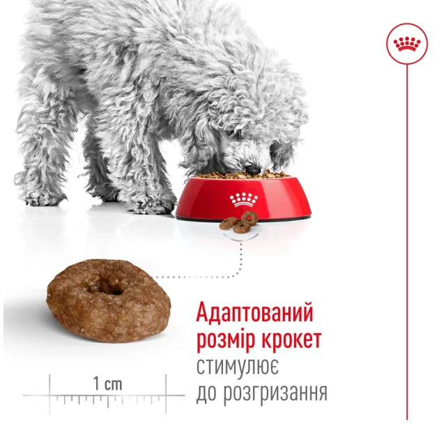 Сухой корм Royal Canin Mini Ageing 12+ для собак мелких пород старше 12 лет, 800 г