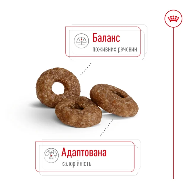 Сухой корм Royal Canin Mini Ageing 12+ для собак мелких пород старше 12 лет, 800 г