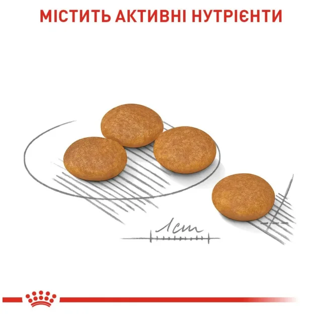 Сухий корм Royal Canin Mini Dermacomfort для собак дрібних порід з чутливою шкірою, 3 кг