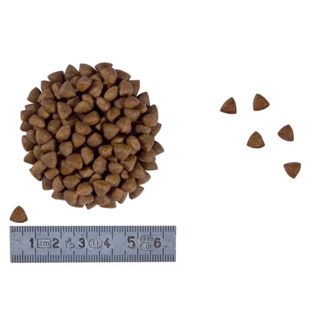 Сухой корм Royal Canin Gastro Intestinal Kitten при расстройствах пищеварения у котят, 400 г