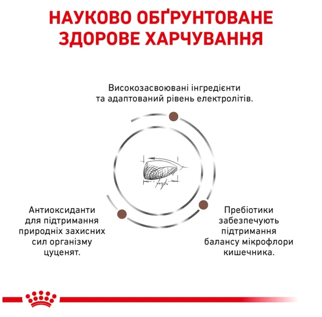 Влажный корм Royal Canin Gastro Intestinal Puppy при расстройствах пищеварения щенков, 195 г