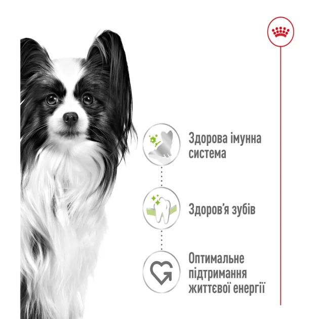 Сухий корм Royal Canin X-Small Adult 8+ для собак мініатюрних порід від 8 років, 3 кг