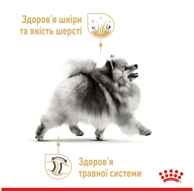 Сухой корм Royal Canin Pomeranian Adult для взрослых собак породы померанский шпиц, 500 г