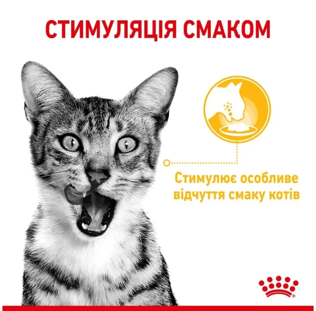 Влажный корм Royal Canin Sensory Taste Gravy для кошек привередливых ко вкусу, кусочки в соусе, 85 г