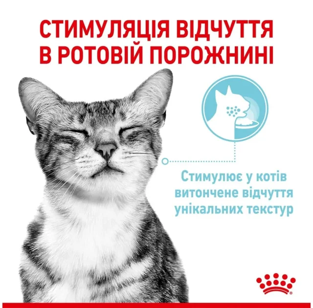 Влажный корм Royal Canin Sensory Feel Gravy для привередливых кошек, кусочки в соусе, 85 г