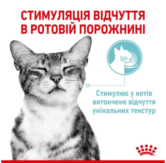 Влажный корм Royal Canin Sensory Feel Jelly для привередливых кошек, кусочки в желе, 85 г