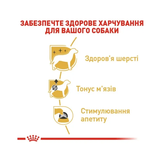 Вологий корм Royal Canin Poodle Loaf для дорослих собак породи пудель, 85 г