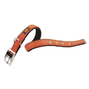 Нейлоновий нашийник Ferplast Dual CF20 / 43 Colours Orange для собак, 20 мм, A: 35 ÷ 43 см