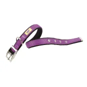 Нейлоновий нашийник Ferplast Dual CF20 / 43 Colours Purple для собак, 20 мм, A: 35 ÷ 43 см
