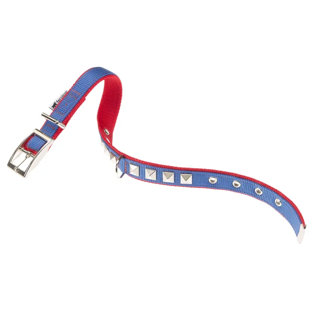 Нейлоновий нашийник Ferplast Dual CF25 / 43 Colours Blue-Red для собак, 25 мм, A: 37 ÷ 45 см