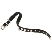 Нейлоновий нашийник Ferplast Dual CF25 / 43 Colours Black для собак, 25 мм, A: 37 ÷ 45 см